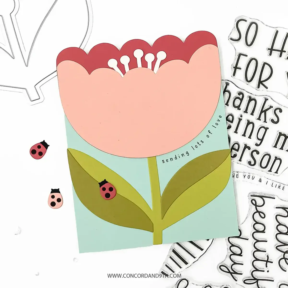 Concord & 9th Scalloped Petals Bundle