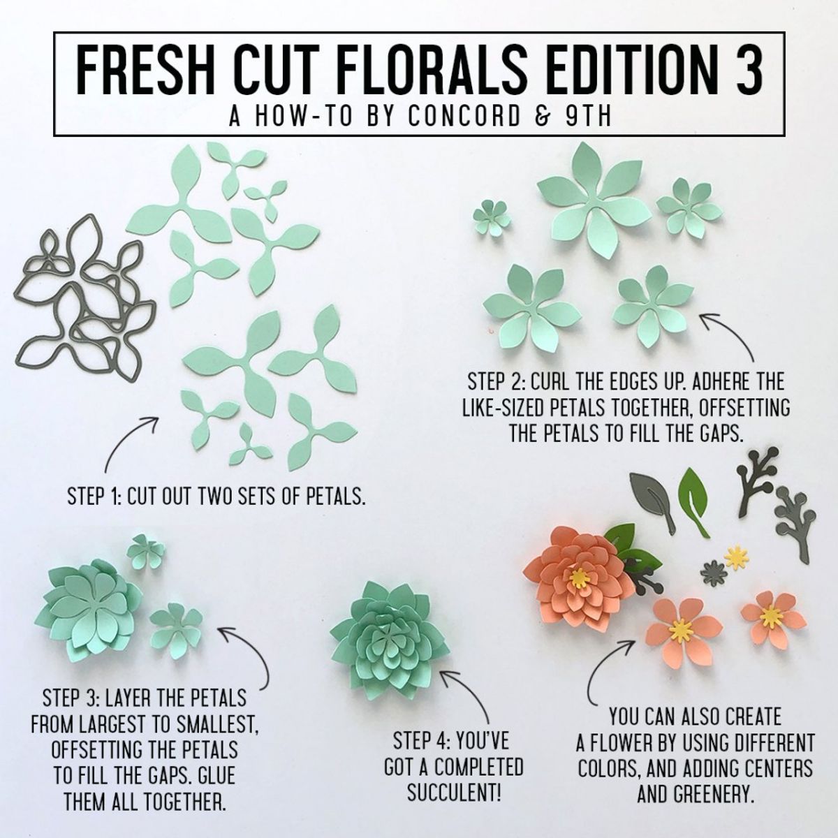 Concord & 9th Fresh Cut Florals Dies Edition 3