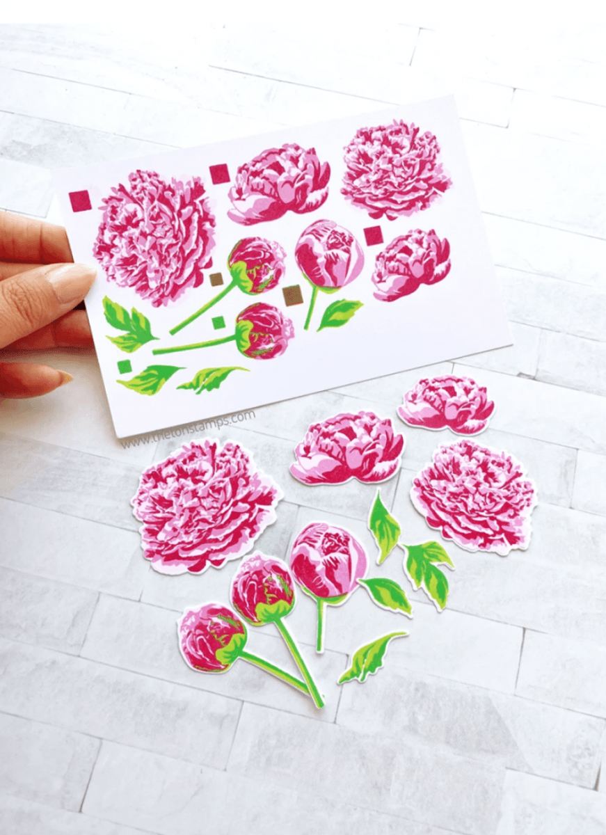 The Ton Grouped Fresh Peonies stamp & die bundle