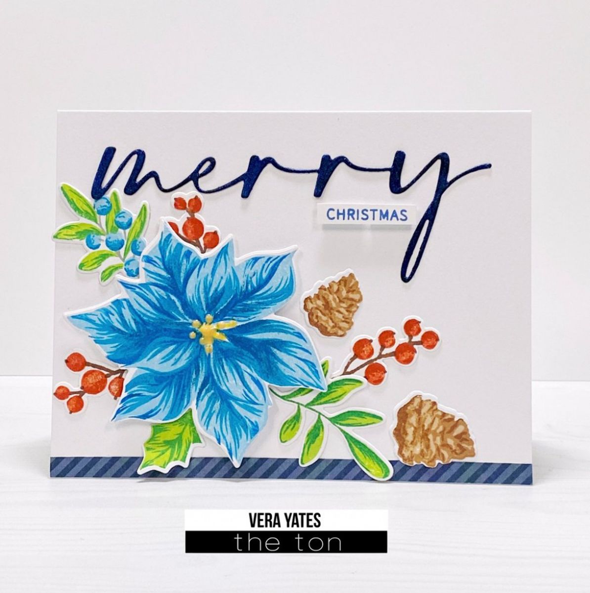 The Ton Berry Branches stamp & die bundle