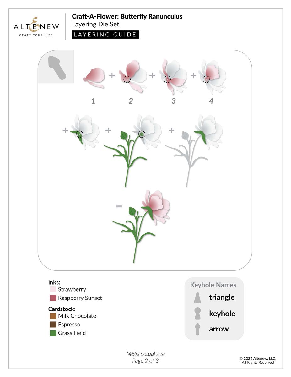 Craft-A-Flower: Butterfly Ranunculus Layering Die Set