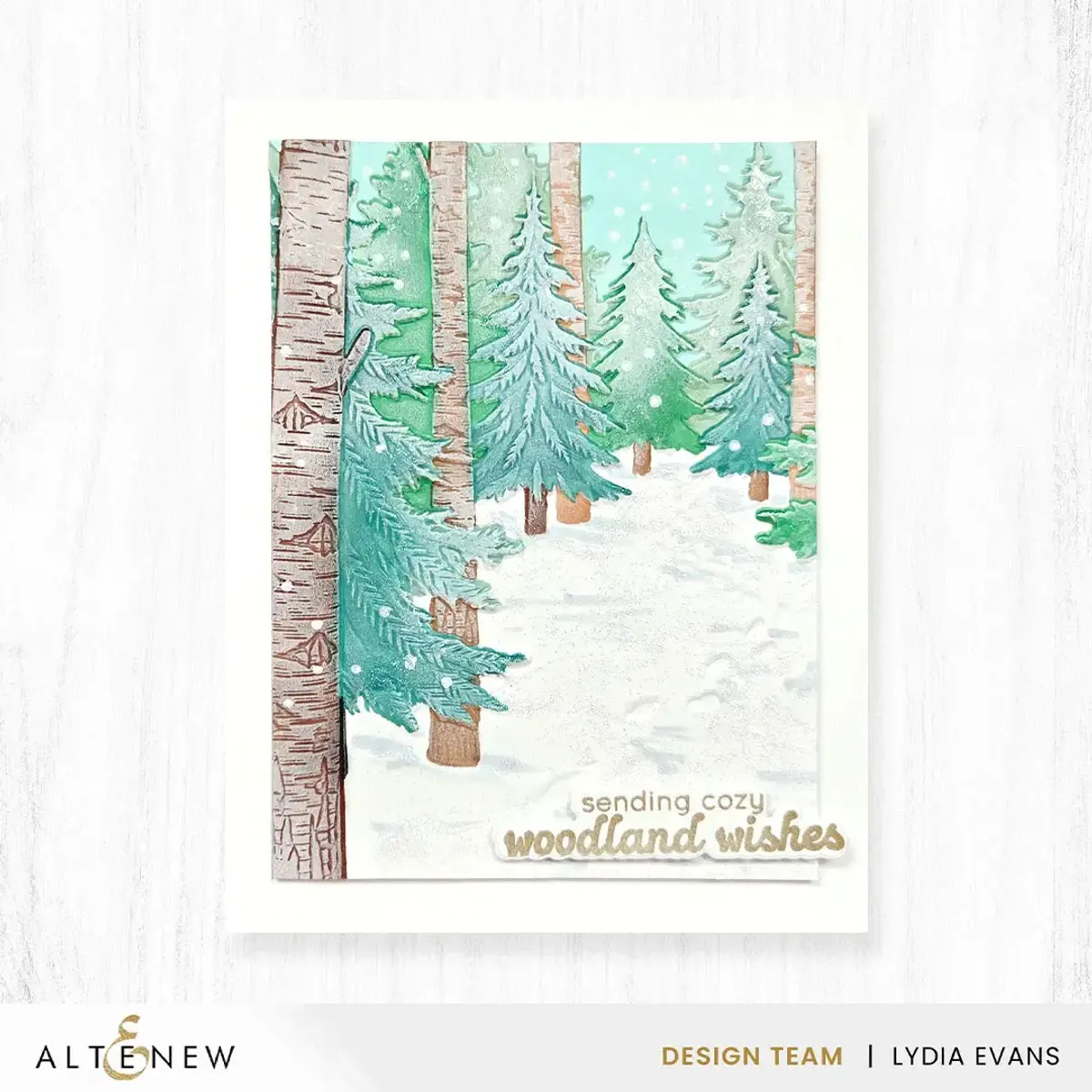 Snowy Footpath 3D Embossing Folder