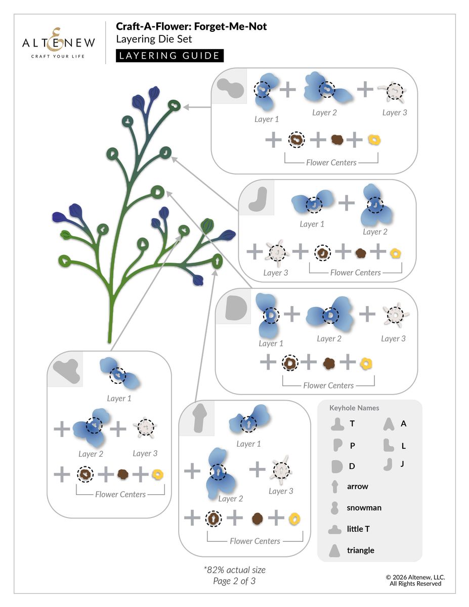 Craft-A-Flower: Forget-Me-Not Layering Die Set