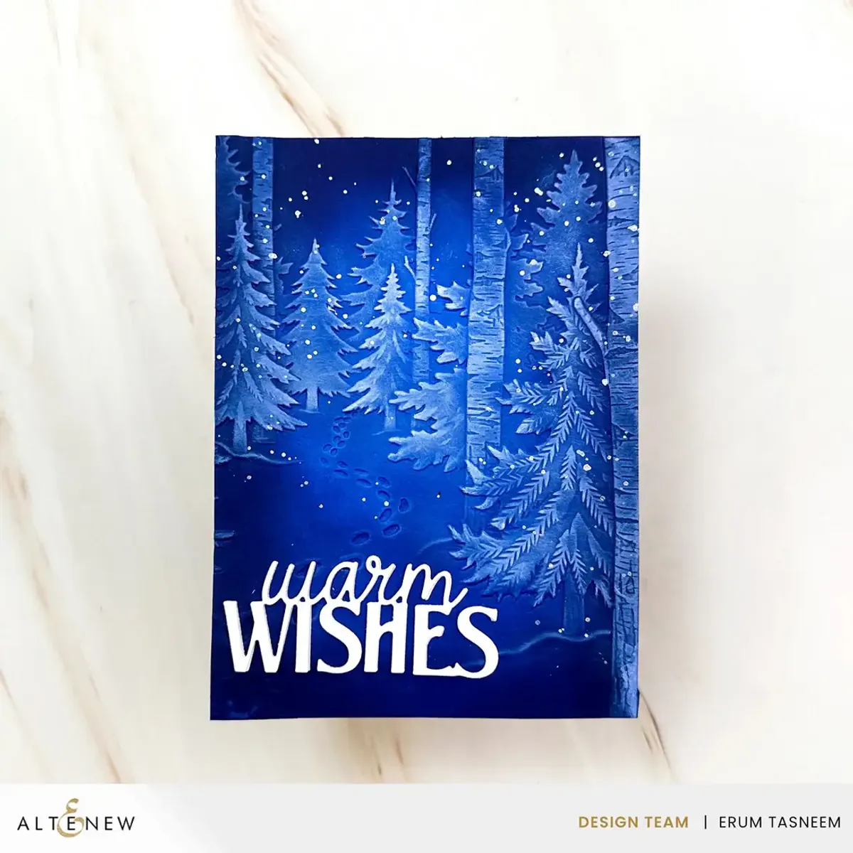 Snowy Footpath 3D Embossing Folder